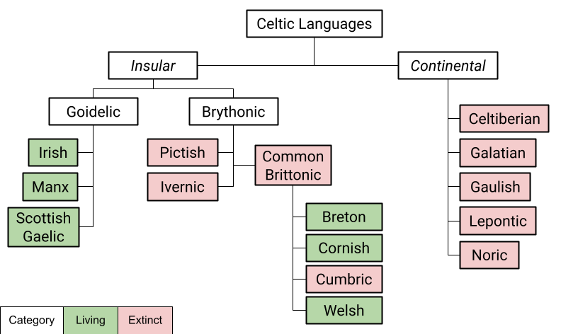 The Dynamic Nature Of Language Evolution