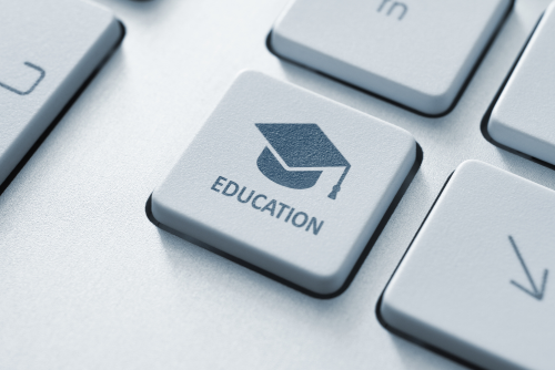 Guide to GCSE Grades & Options
