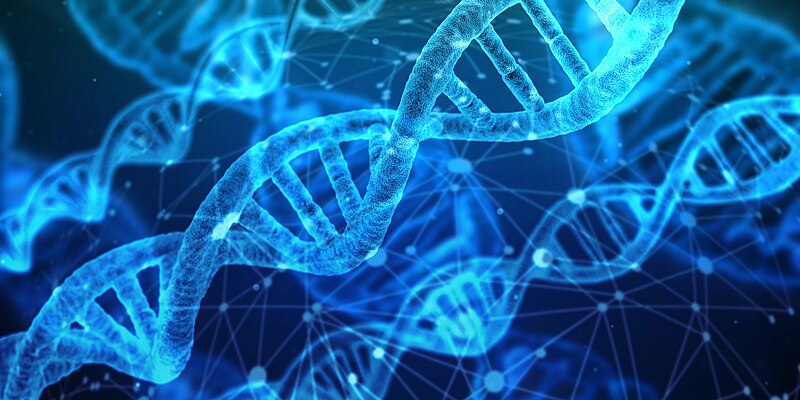 DNA: The Blueprint Of Life