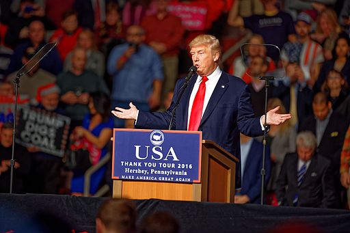 How Unique is Donald Trump, Really?