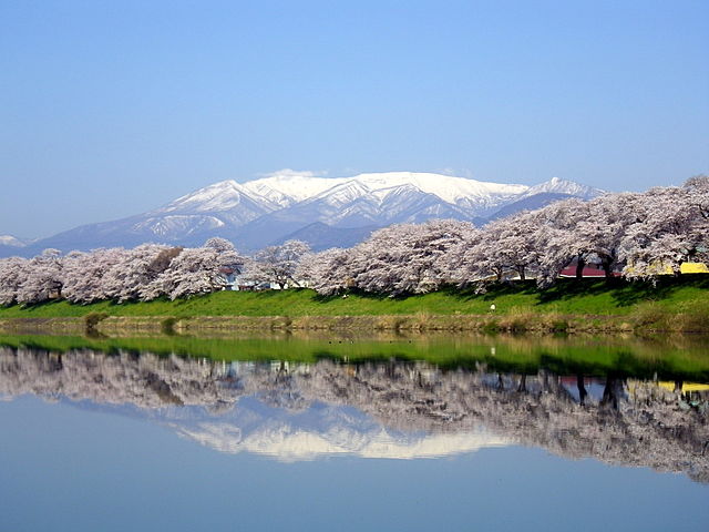 Haiku And The Japanese Cherry Blossom