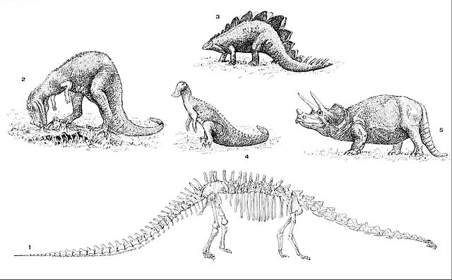 Great Dinosaur Discoveries