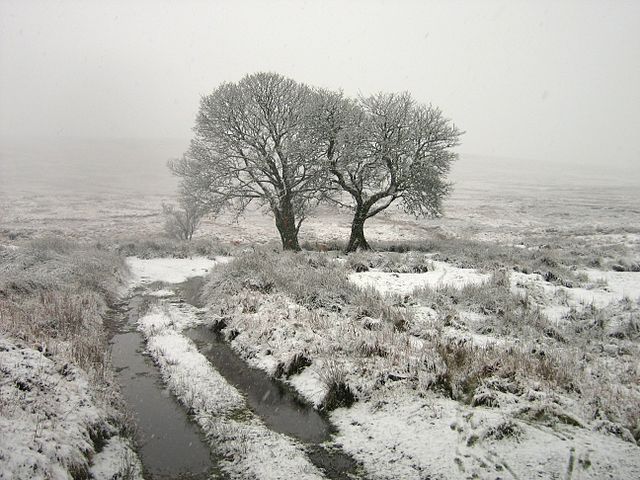 The Science Of Predicting Snowfall